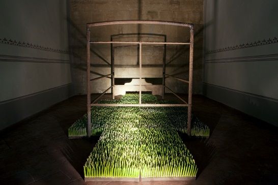 opere di Elisa Confortini